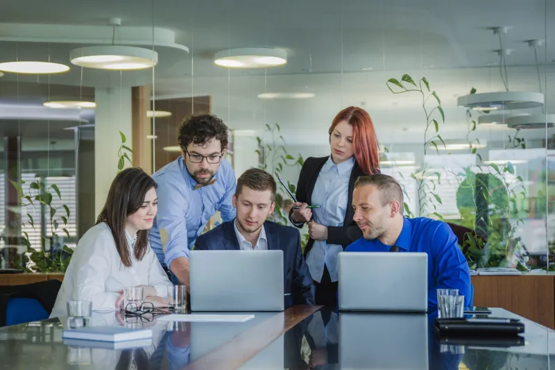 Finspire Team Collaboration